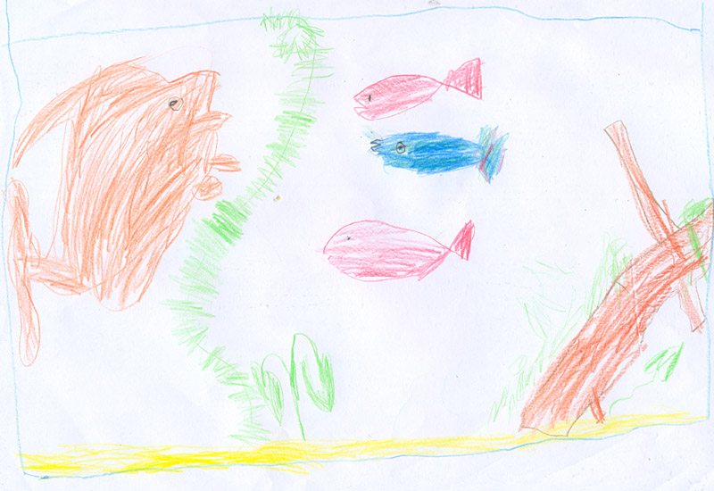 Рыбки в аквариуме (Сергей, 6 лет)