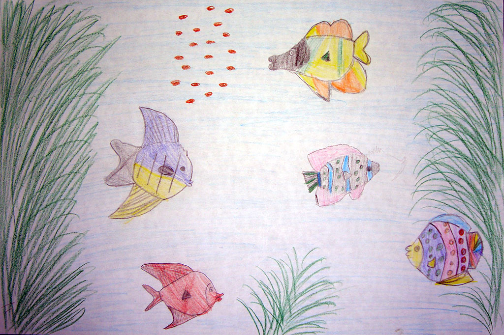Кормление рыбок (Александр, 8 лет)