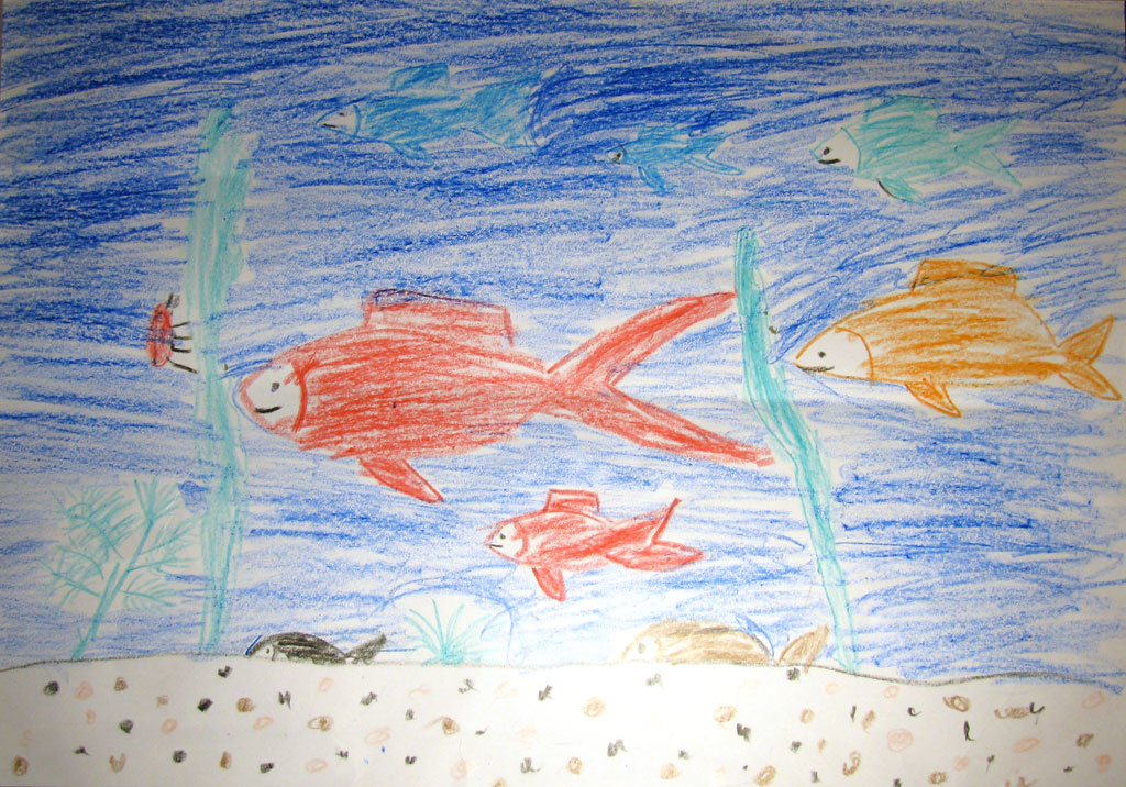 Мой маленький аквариум (Никита, 9 лет)
