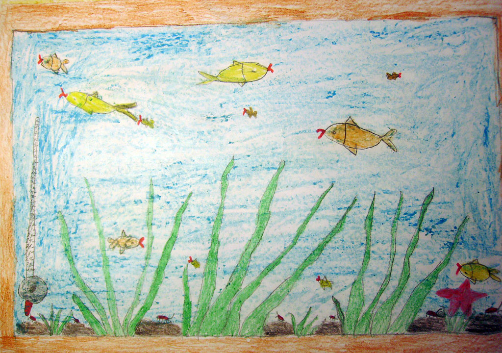 Креветки в аквариуме (Лейсан, 8 лет)