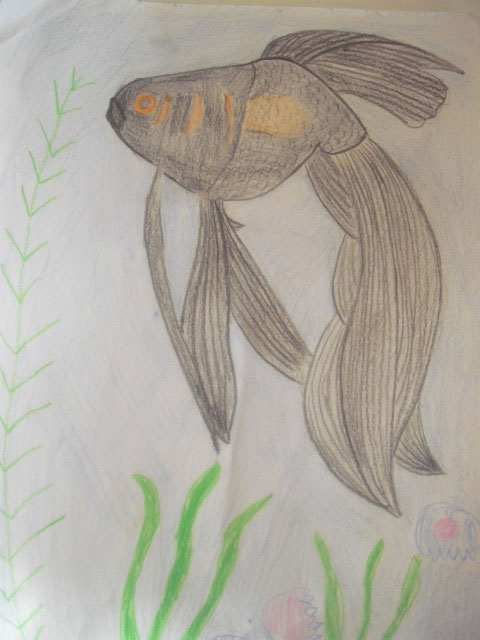 Моя рыбка (Евгения, 9 лет)