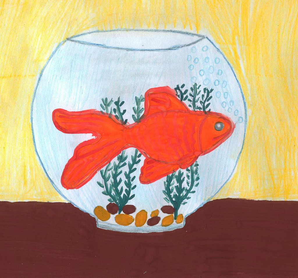 Золотая рыбка (Юлия, 10 лет)