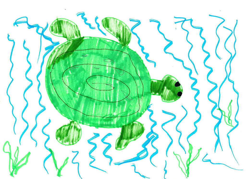 Морская черепаха по имени Мотя