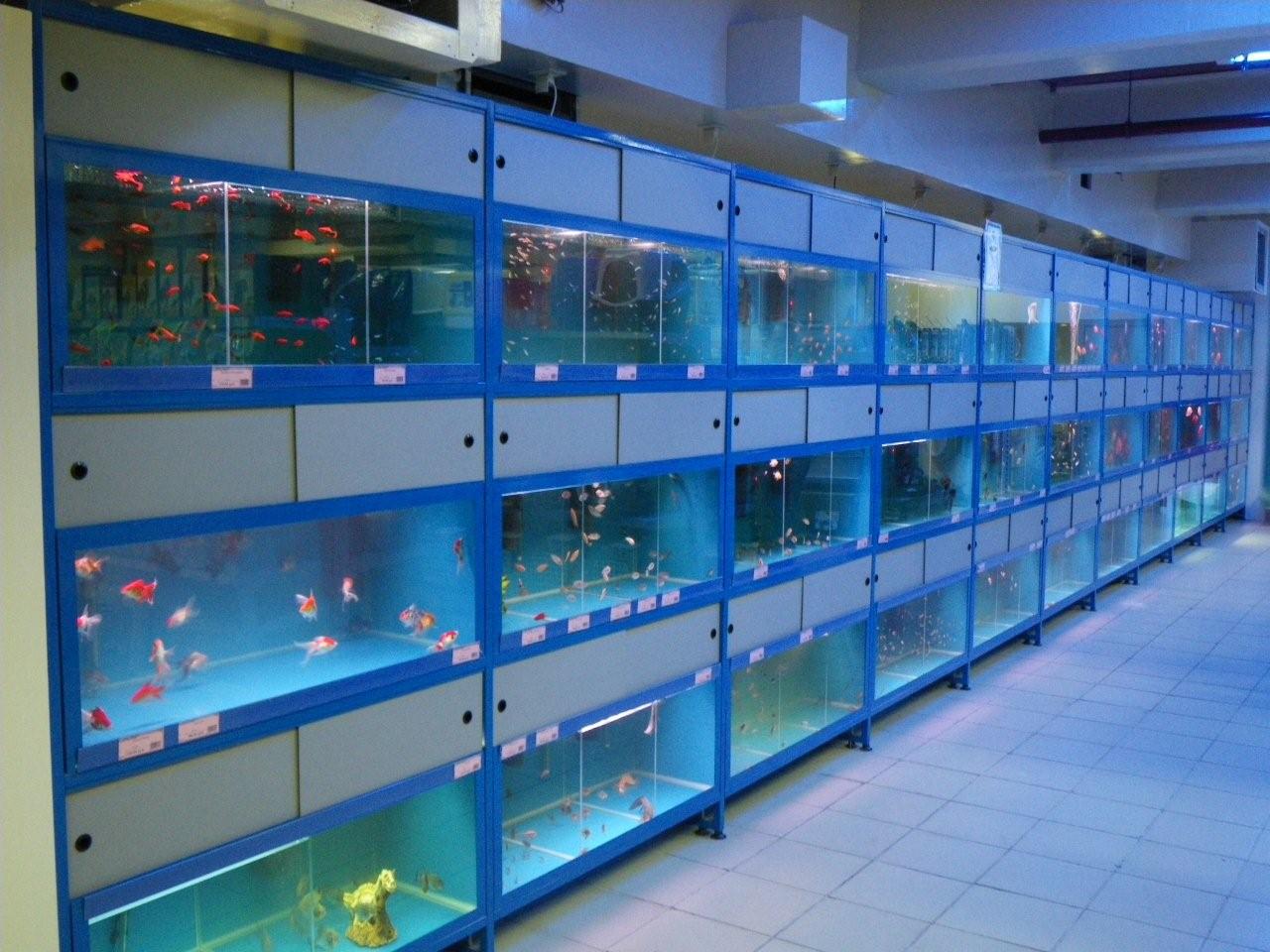 Зоомагазин аквариум