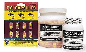 Т.С. CAPSULES