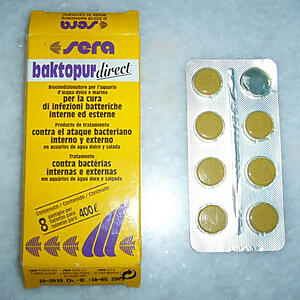 Sera bactopur direct