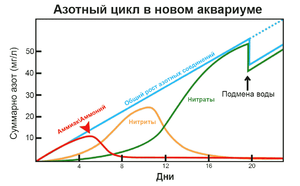 Азотный цикл в новом аквариуме