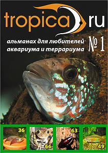 Альманах Tropica.RU